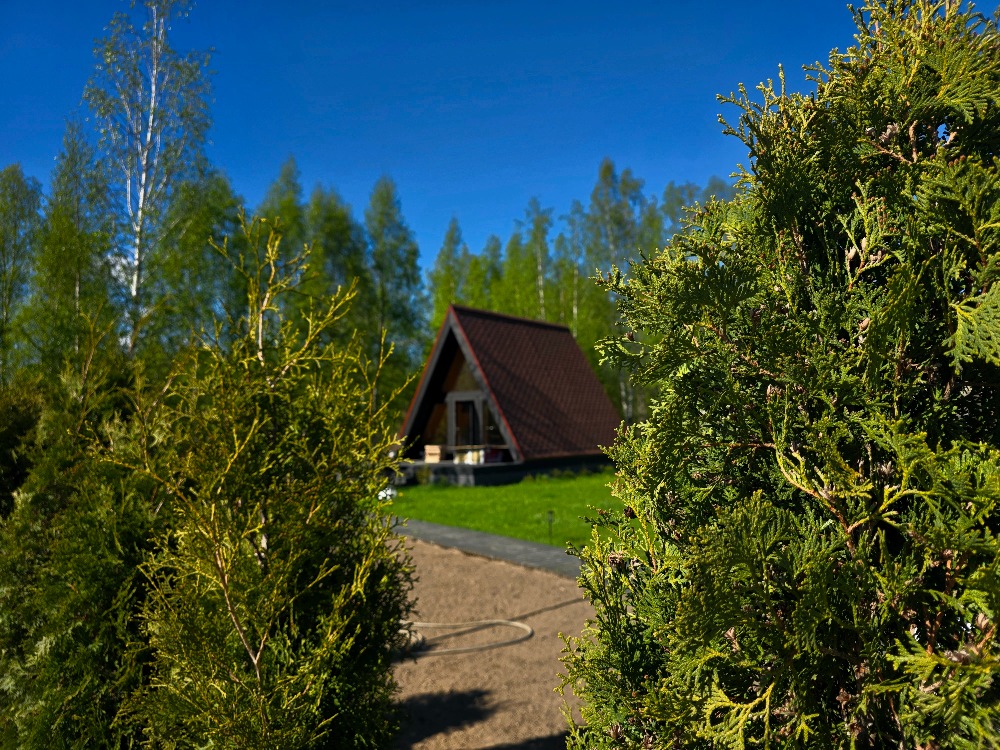 Территория 6